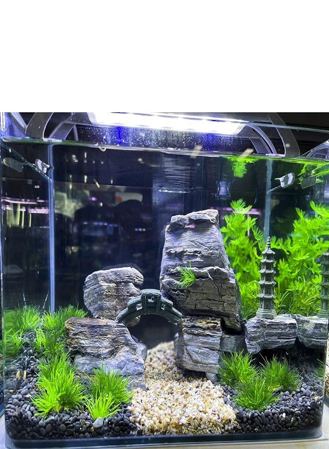 AQUA KT Aquarium Landscape Foreground Grass Seaweed Green Plants for Marine Freshwater Fish Tank Decoration, Pack of 10 - Image 3